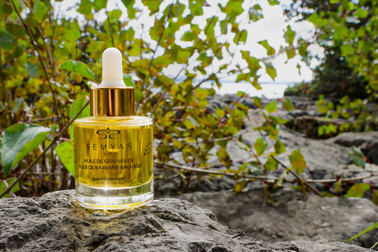 Bouteille d’huile de graines de figue de barbarie sauvage bio Semyas posée sur une roche, entourée de feuillage vert, illustrant la pureté naturelle et la qualité premium du produit comparée à l’huile d’argan.